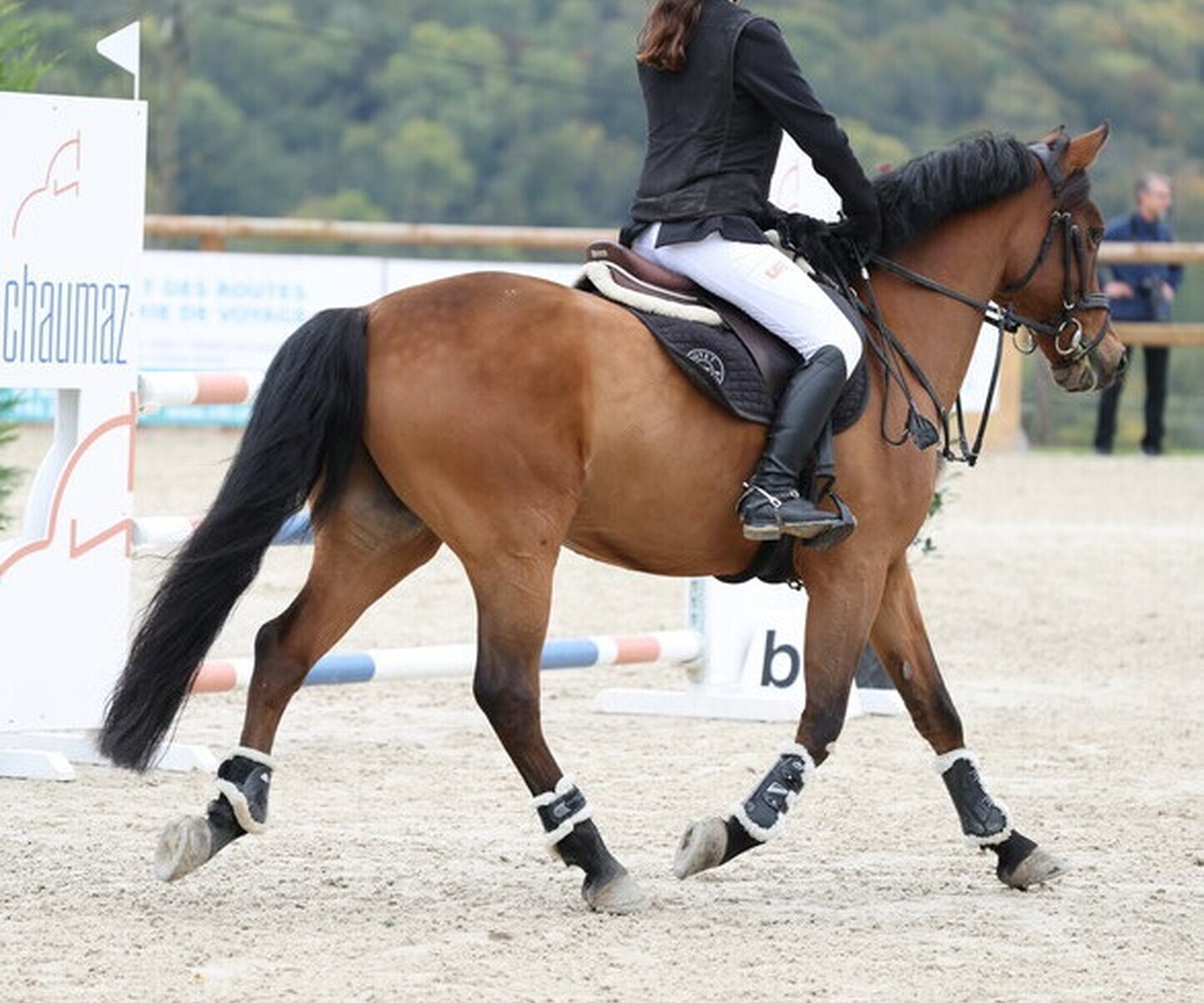 Description de l'image