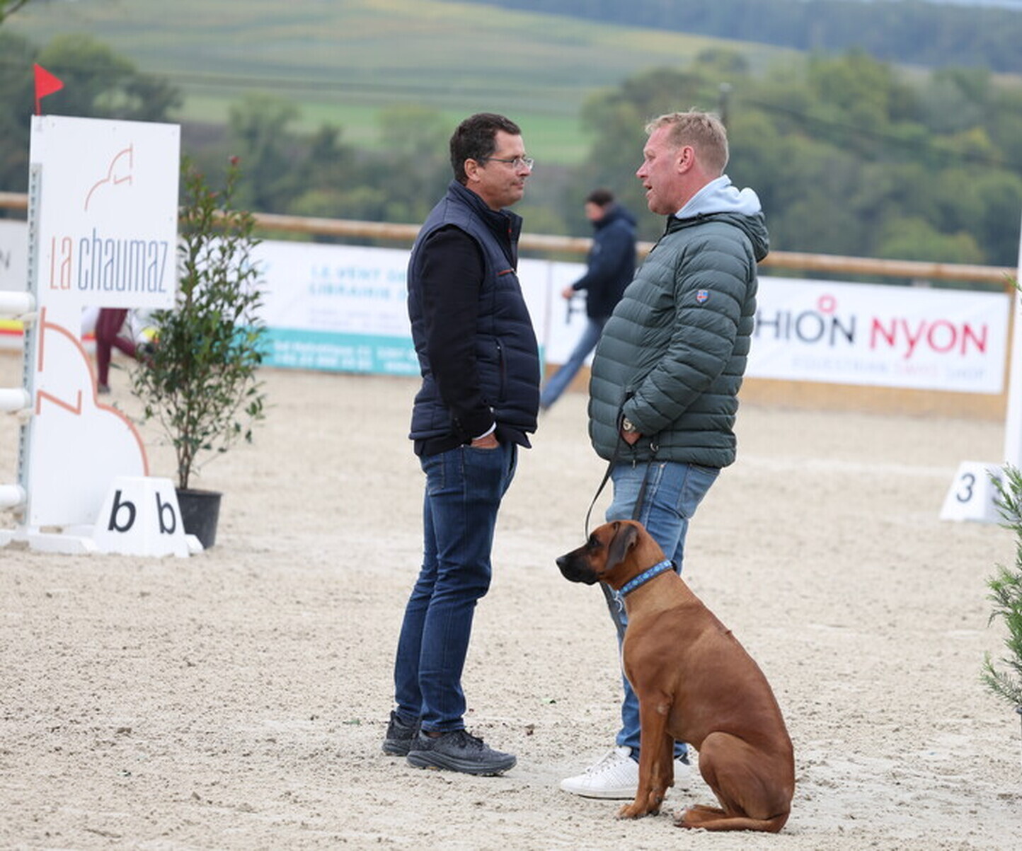 Description de l'image