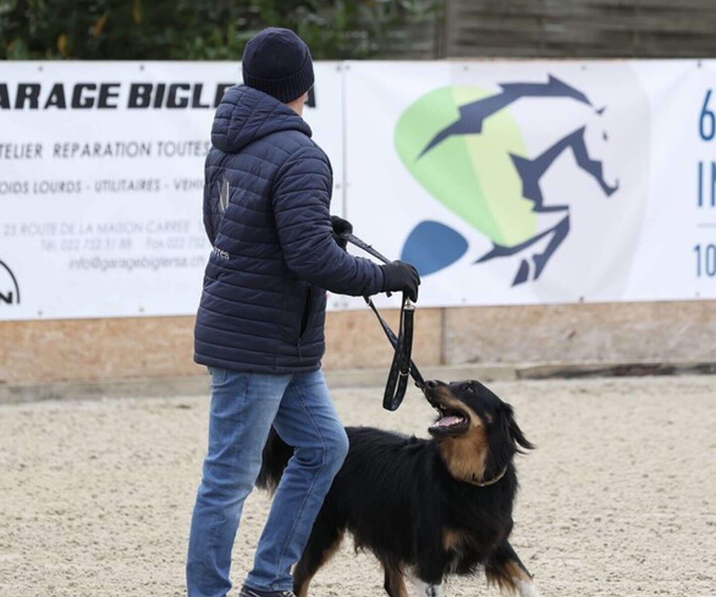 Description de l'image