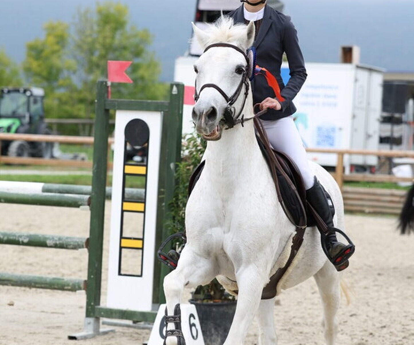 Description de l'image