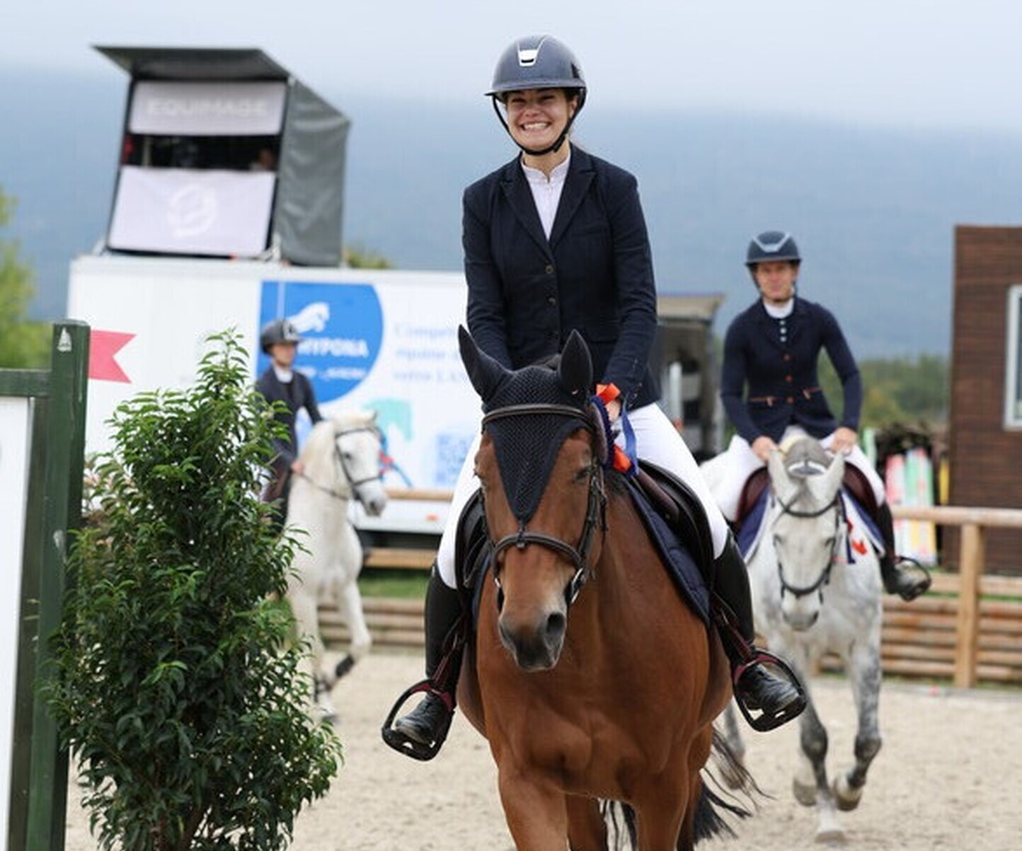 Description de l'image