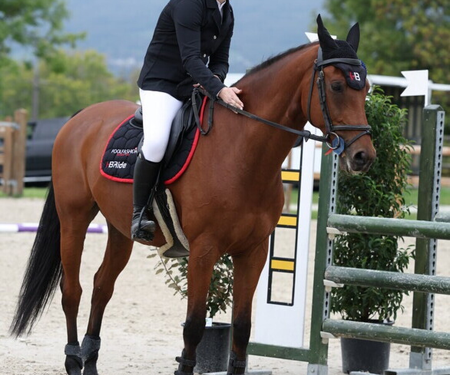 Description de l'image