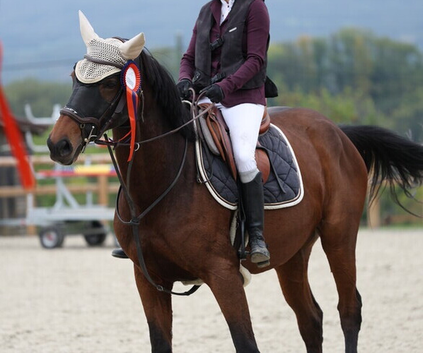 Description de l'image