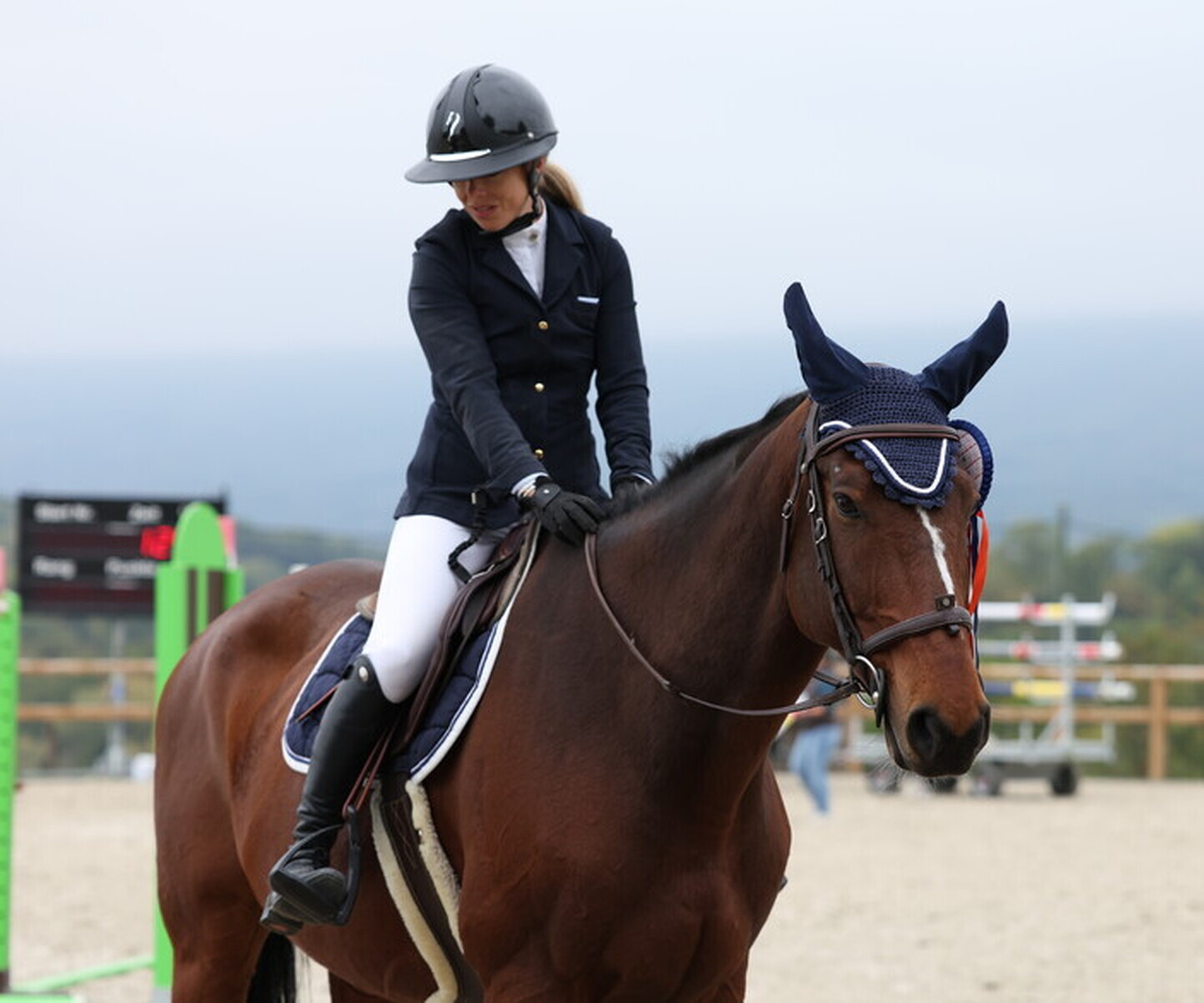 Description de l'image