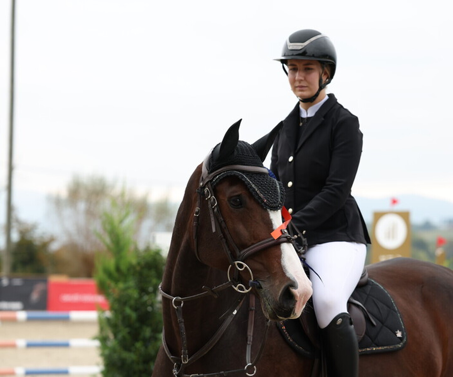 Description de l'image