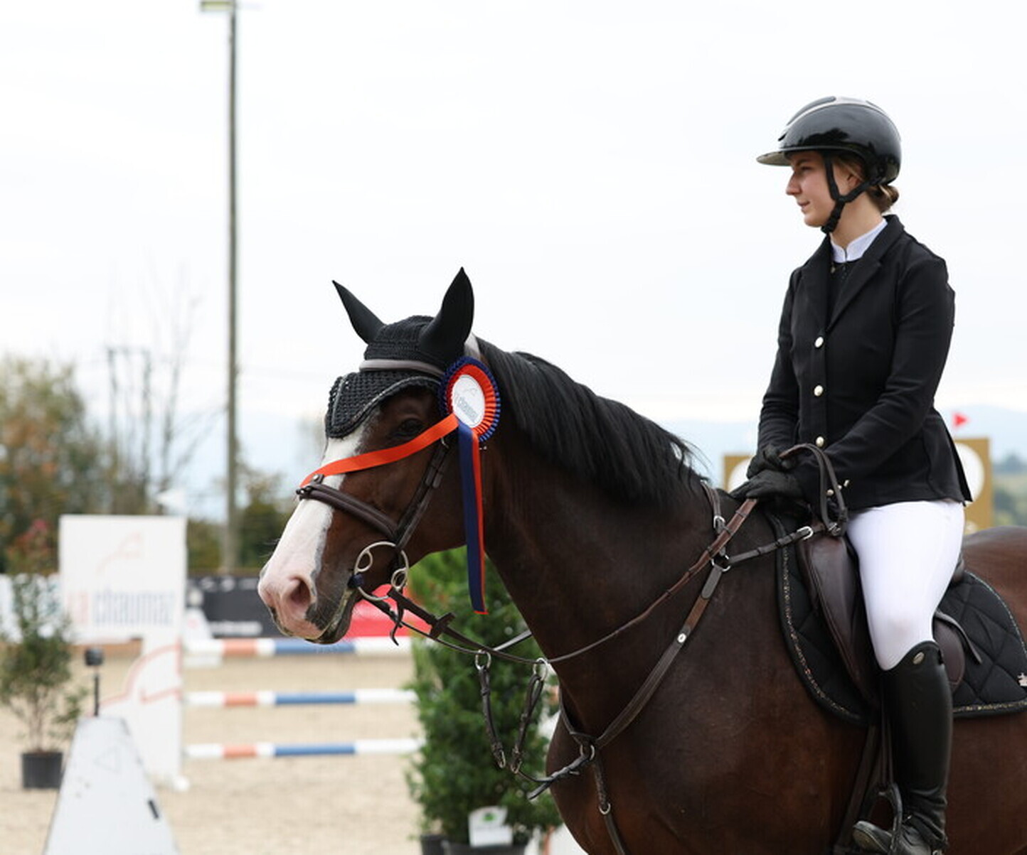 Description de l'image