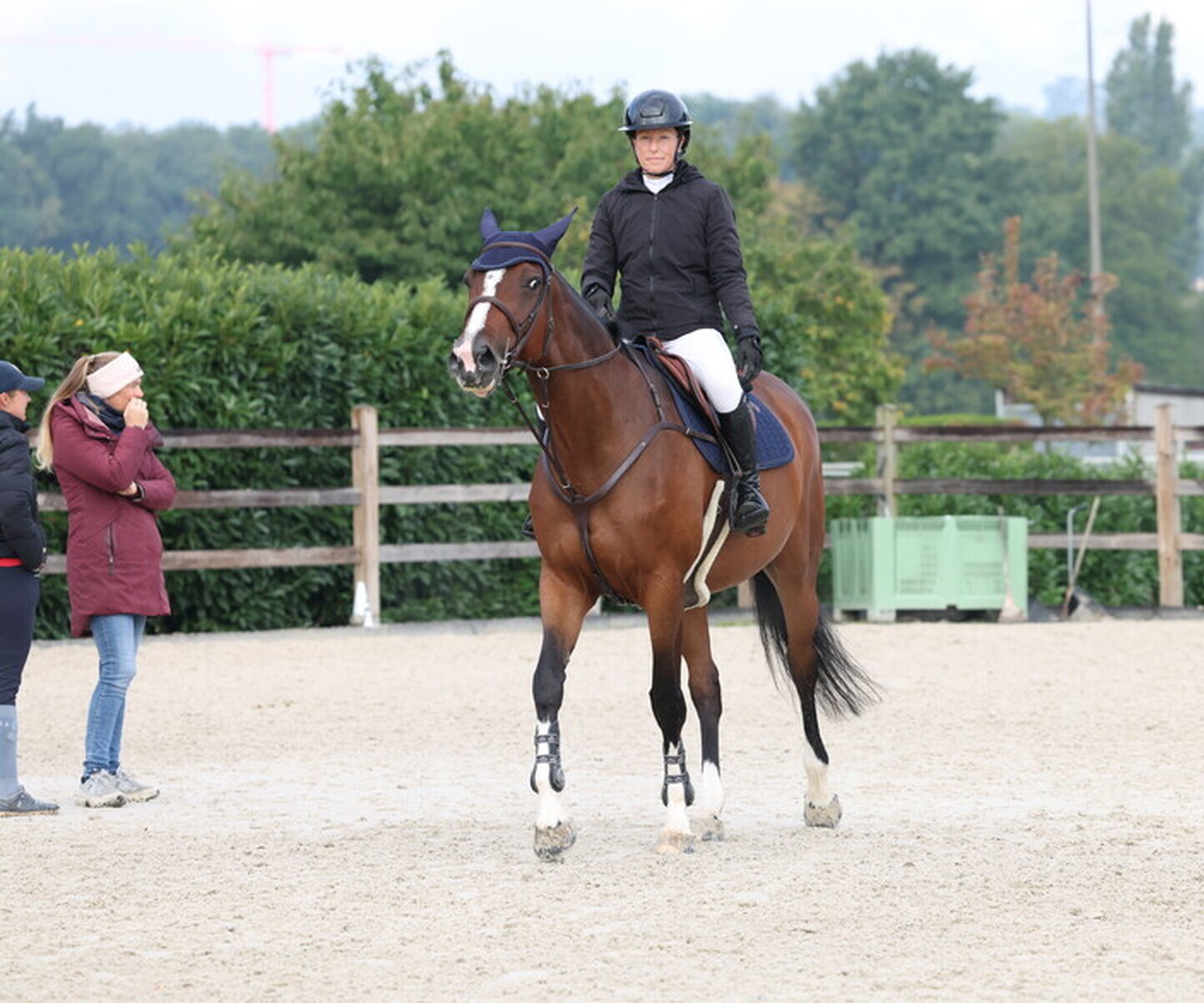 Description de l'image