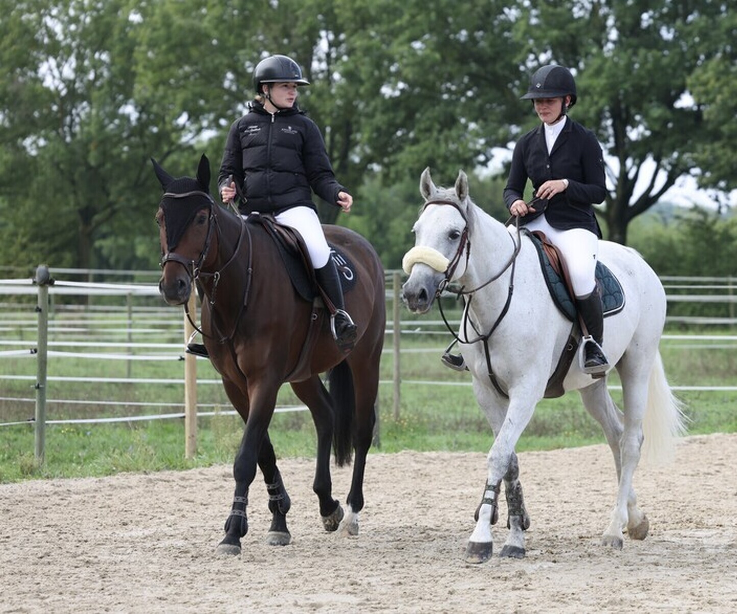 Description de l'image