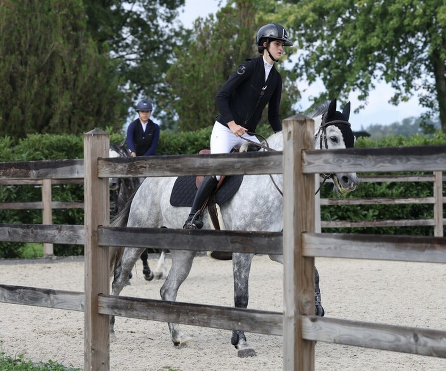 Description de l'image