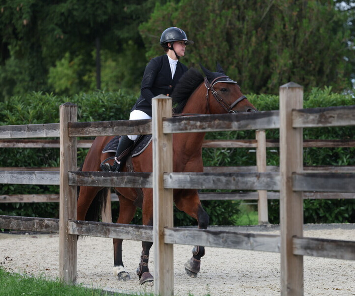 Description de l'image