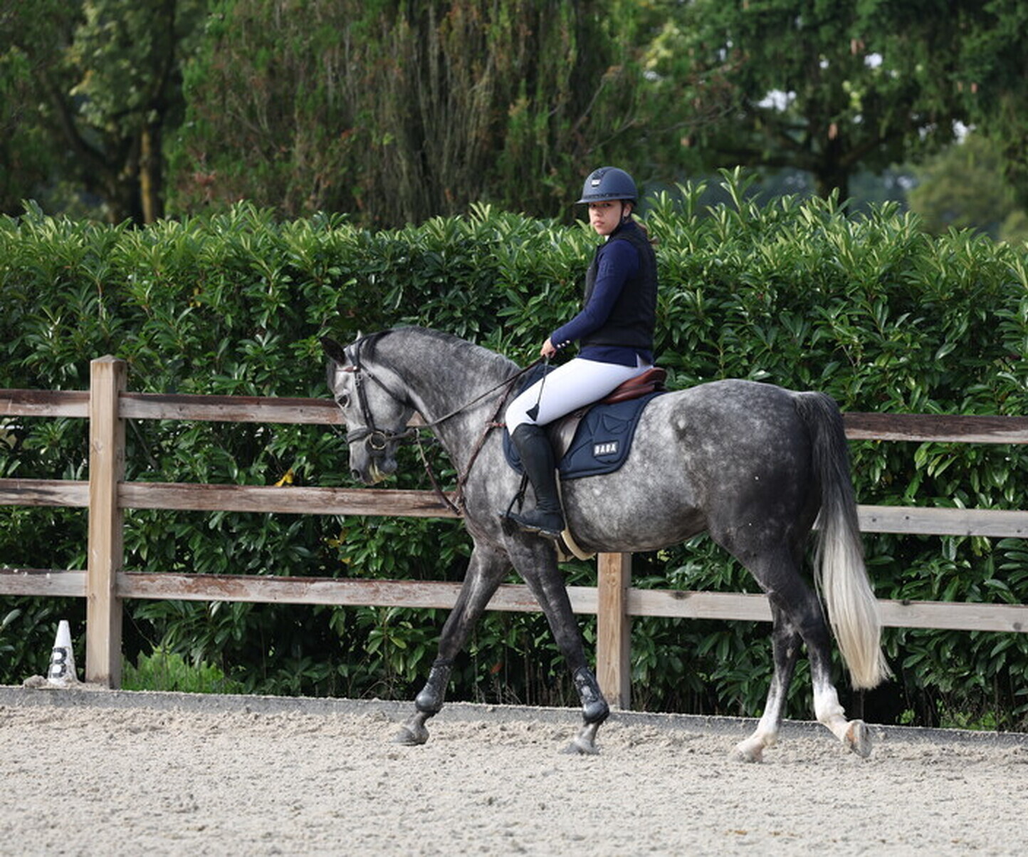 Description de l'image