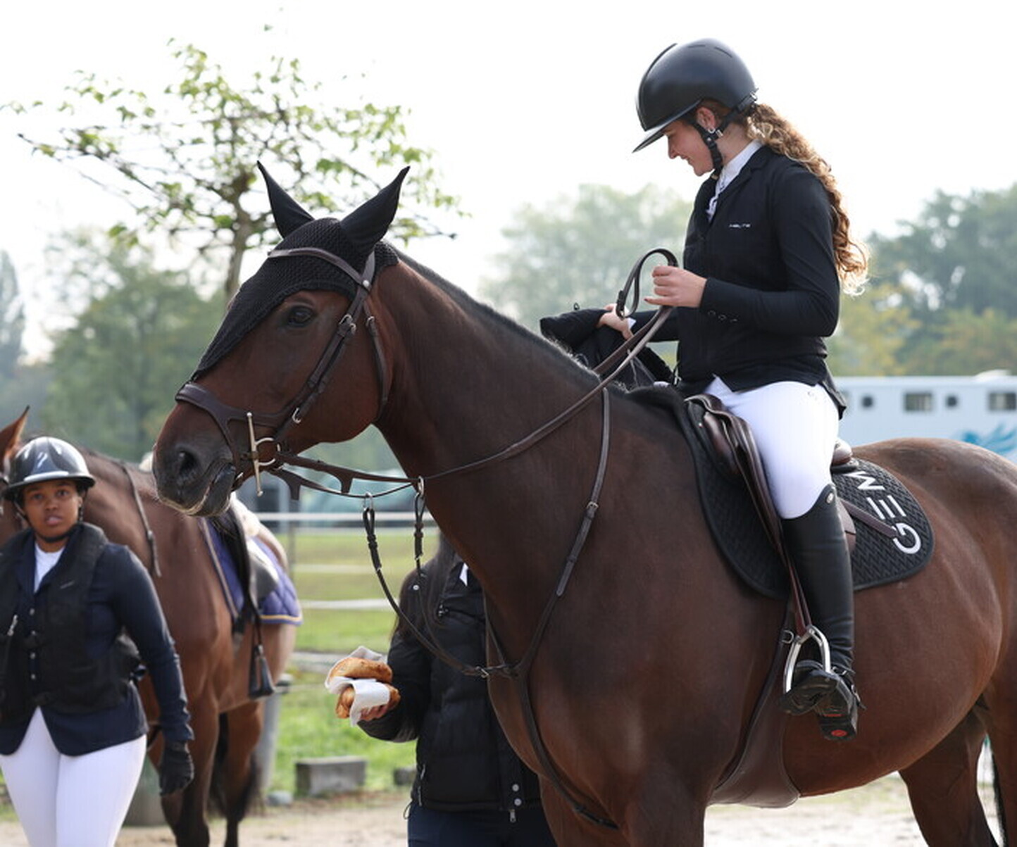 Description de l'image