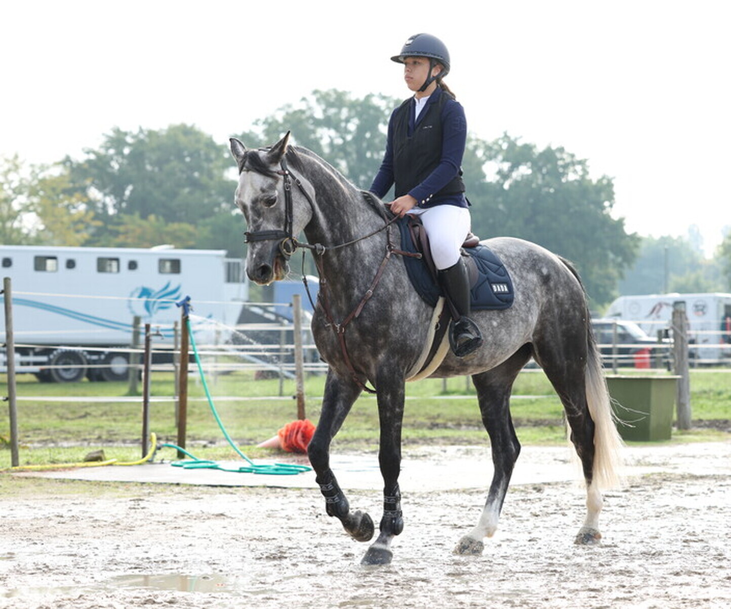 Description de l'image