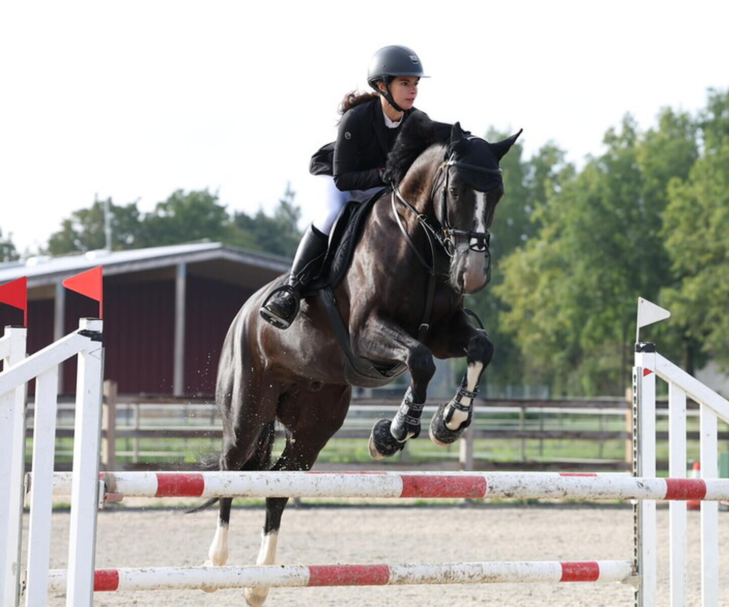 Description de l'image