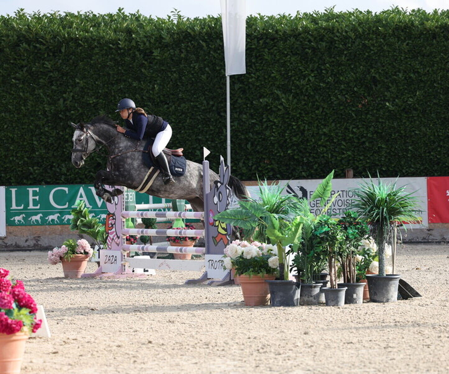 Description de l'image