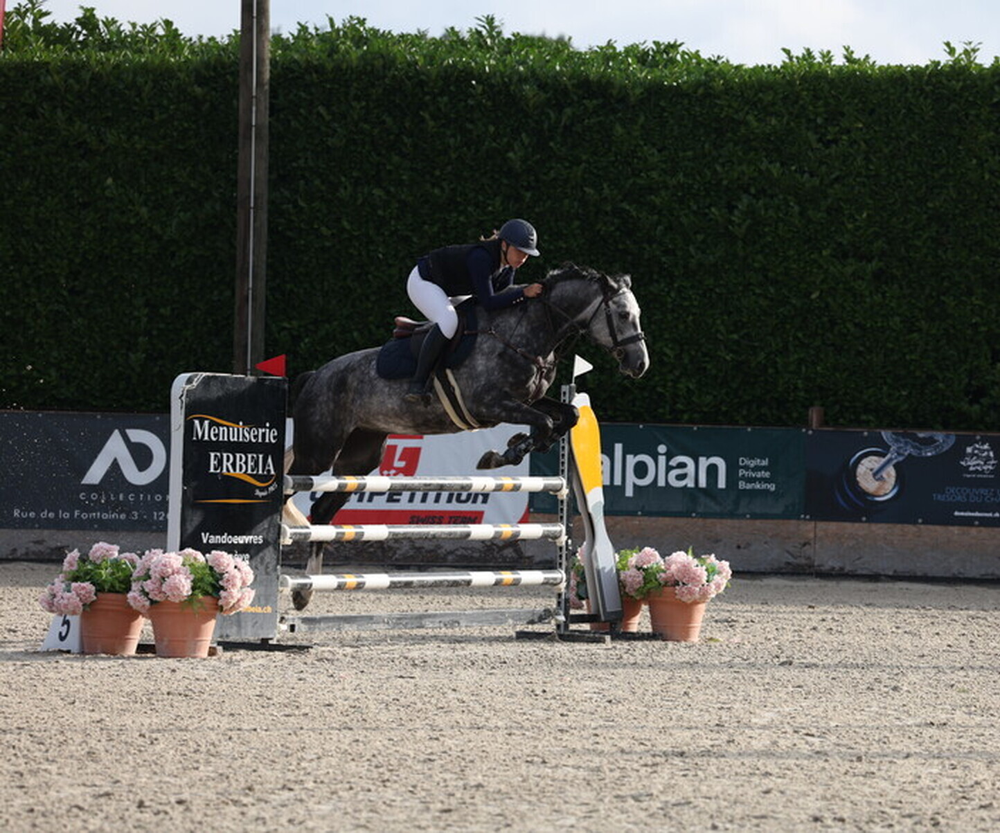 Description de l'image