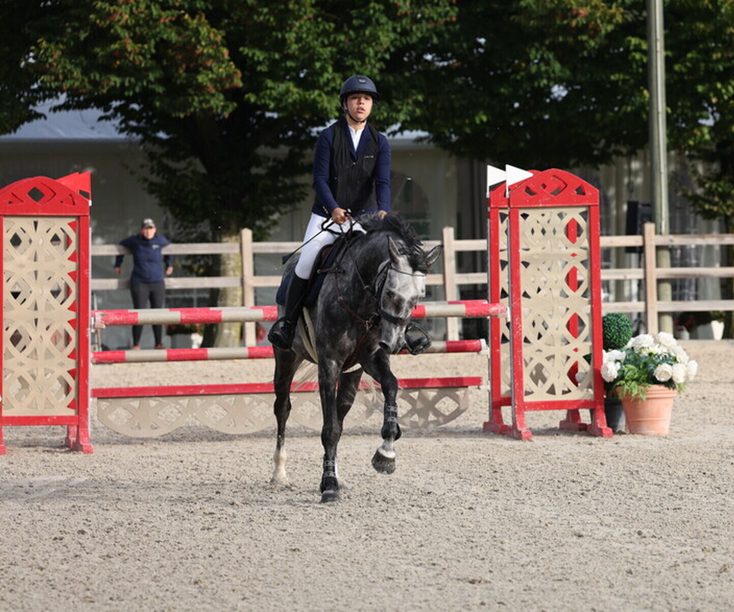 Description de l'image