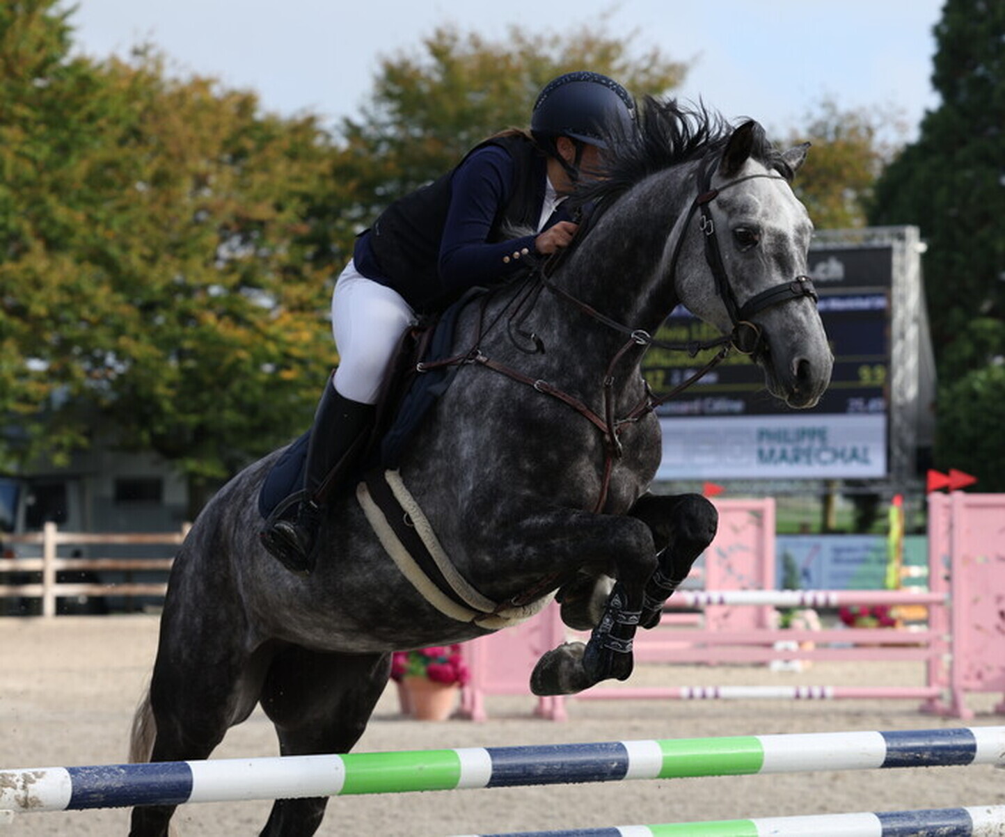 Description de l'image