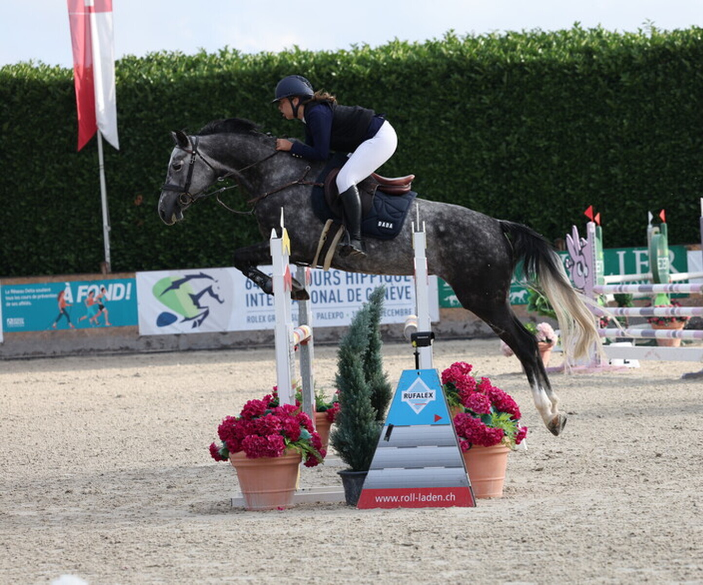 Description de l'image