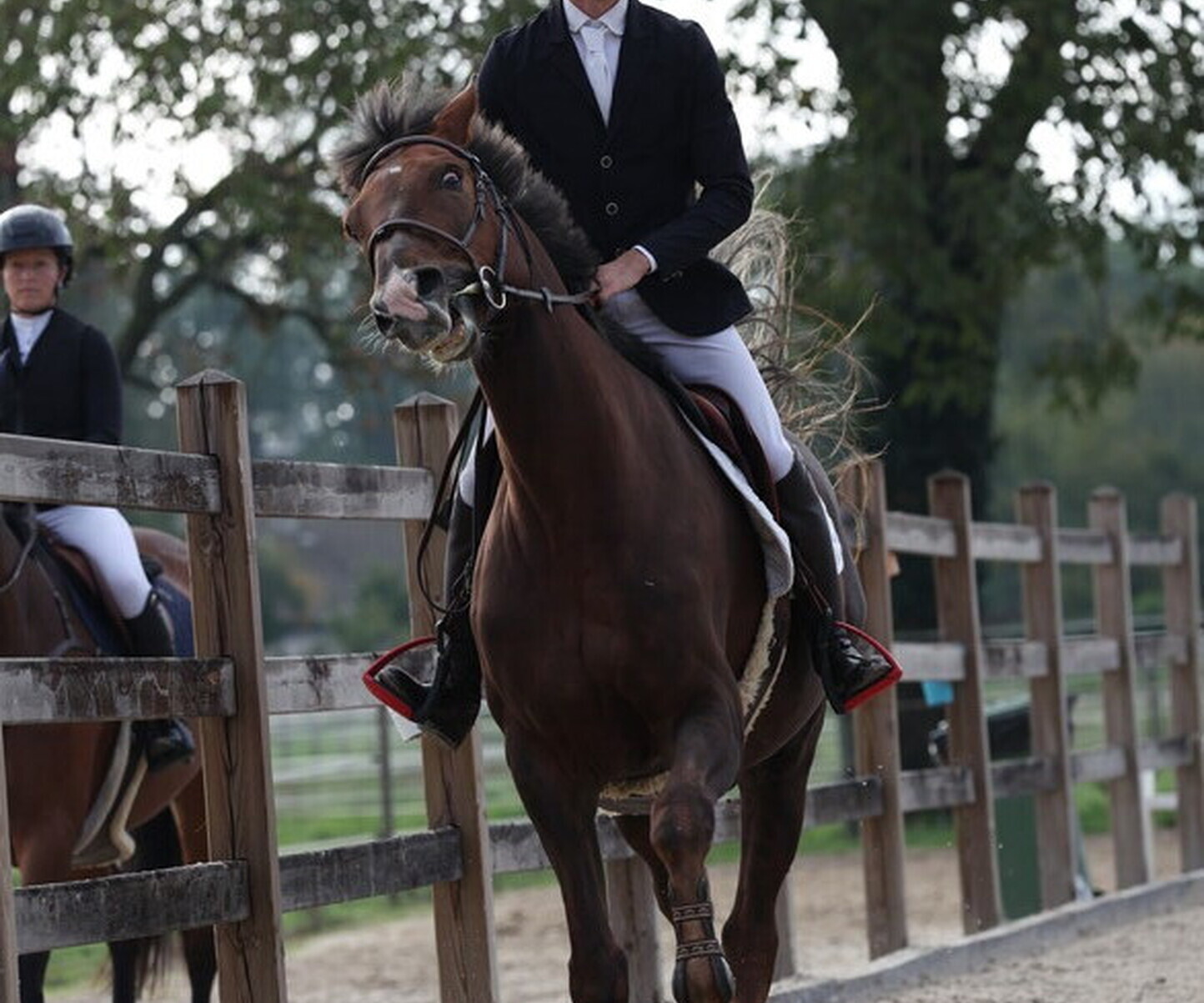 Description de l'image