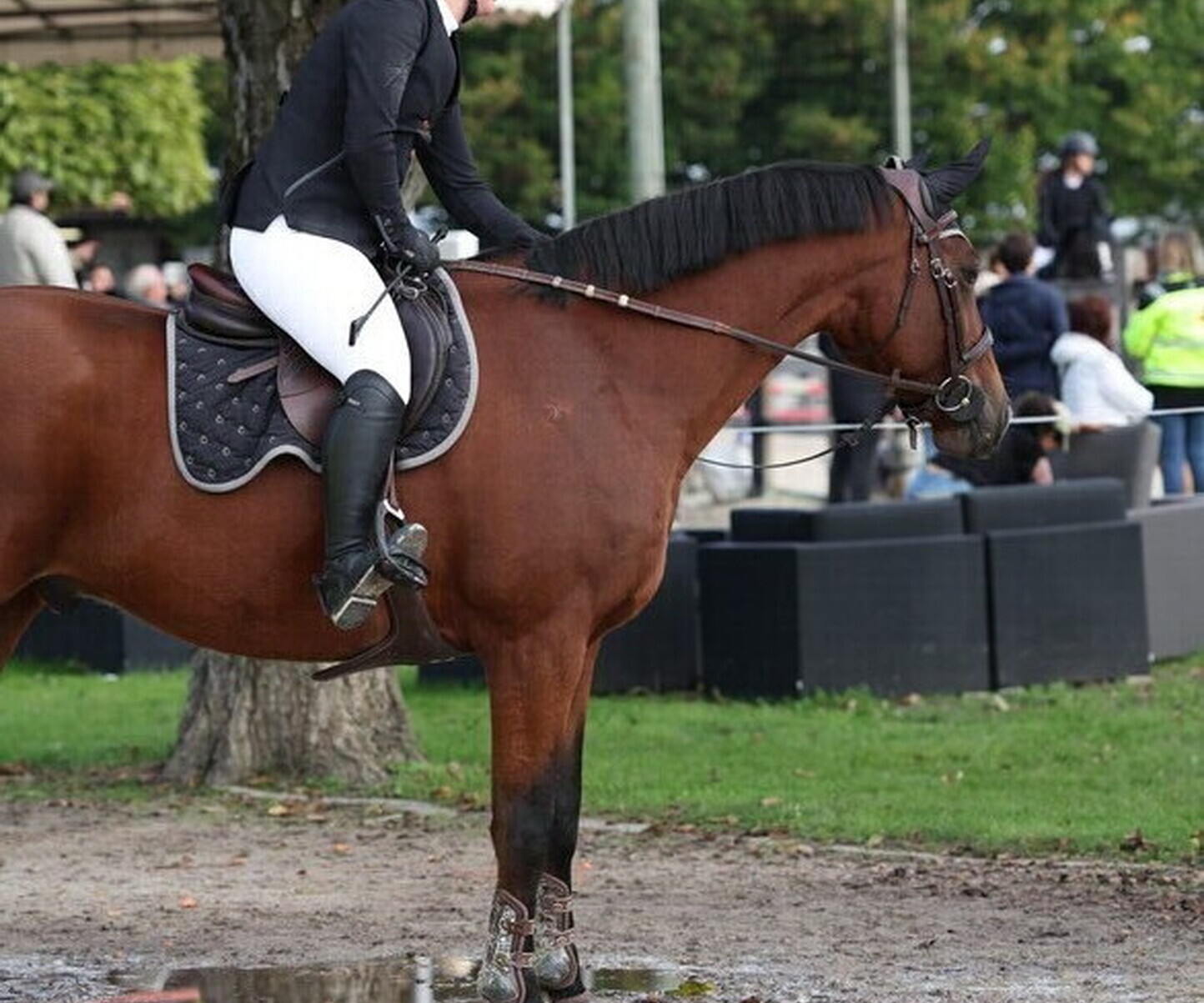 Description de l'image