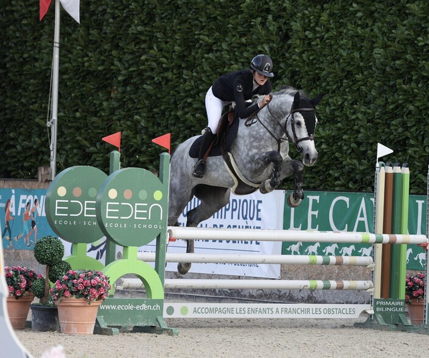 Description de l'image