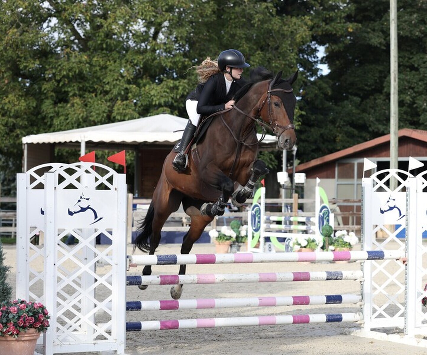 Description de l'image