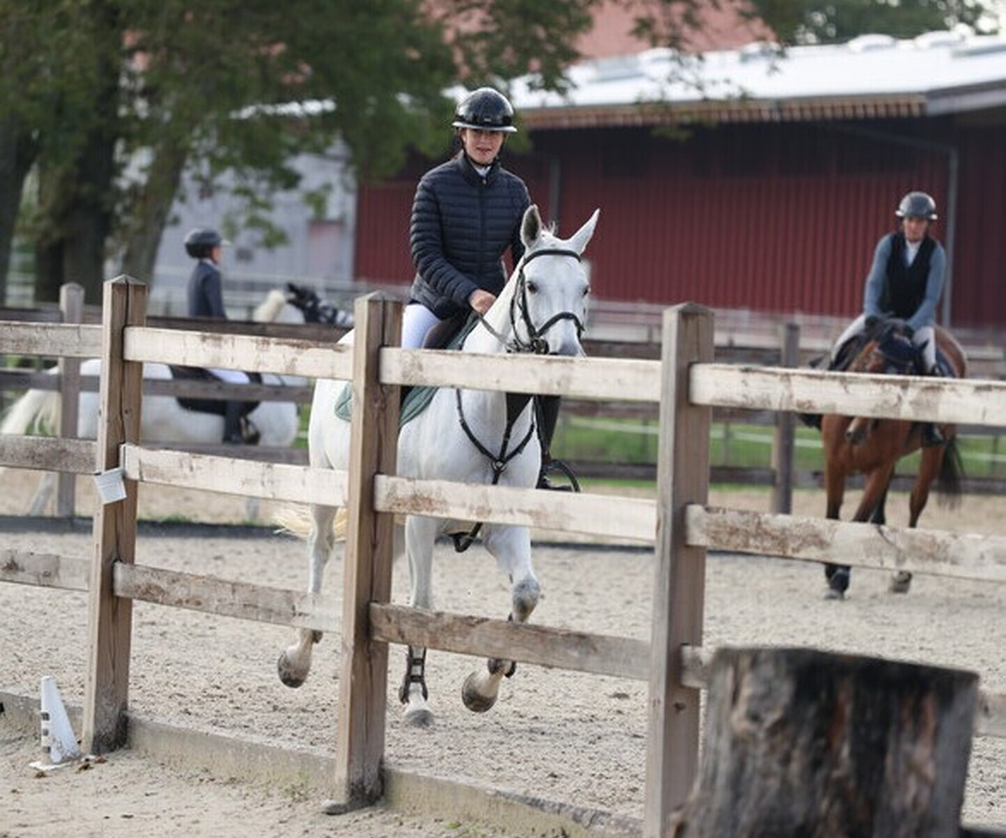 Description de l'image