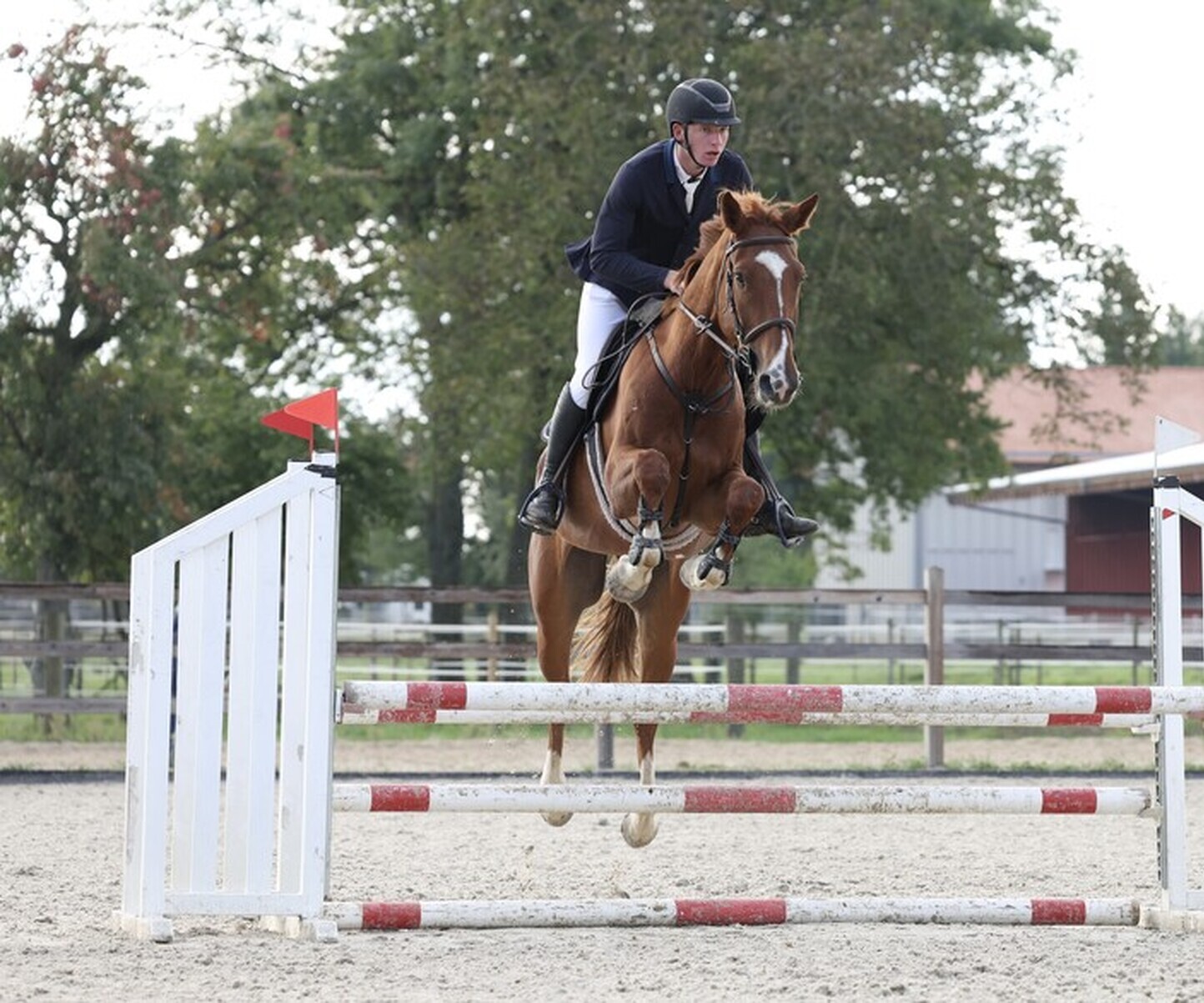 Description de l'image