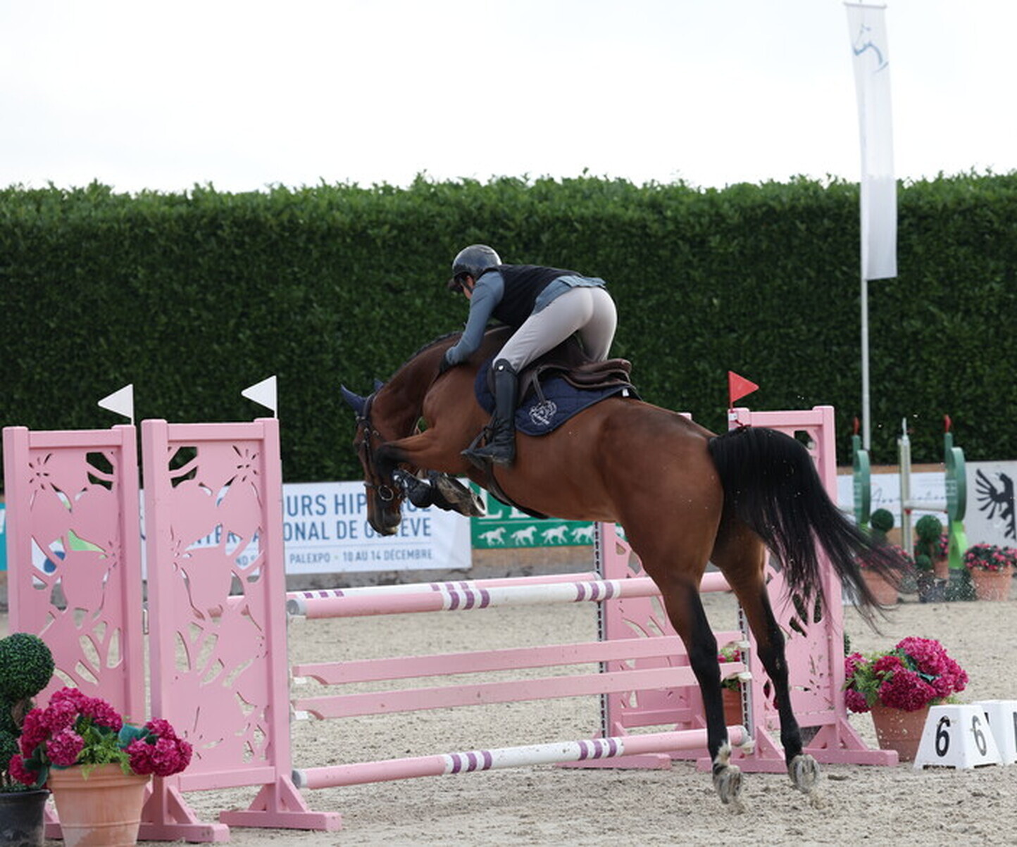 Description de l'image