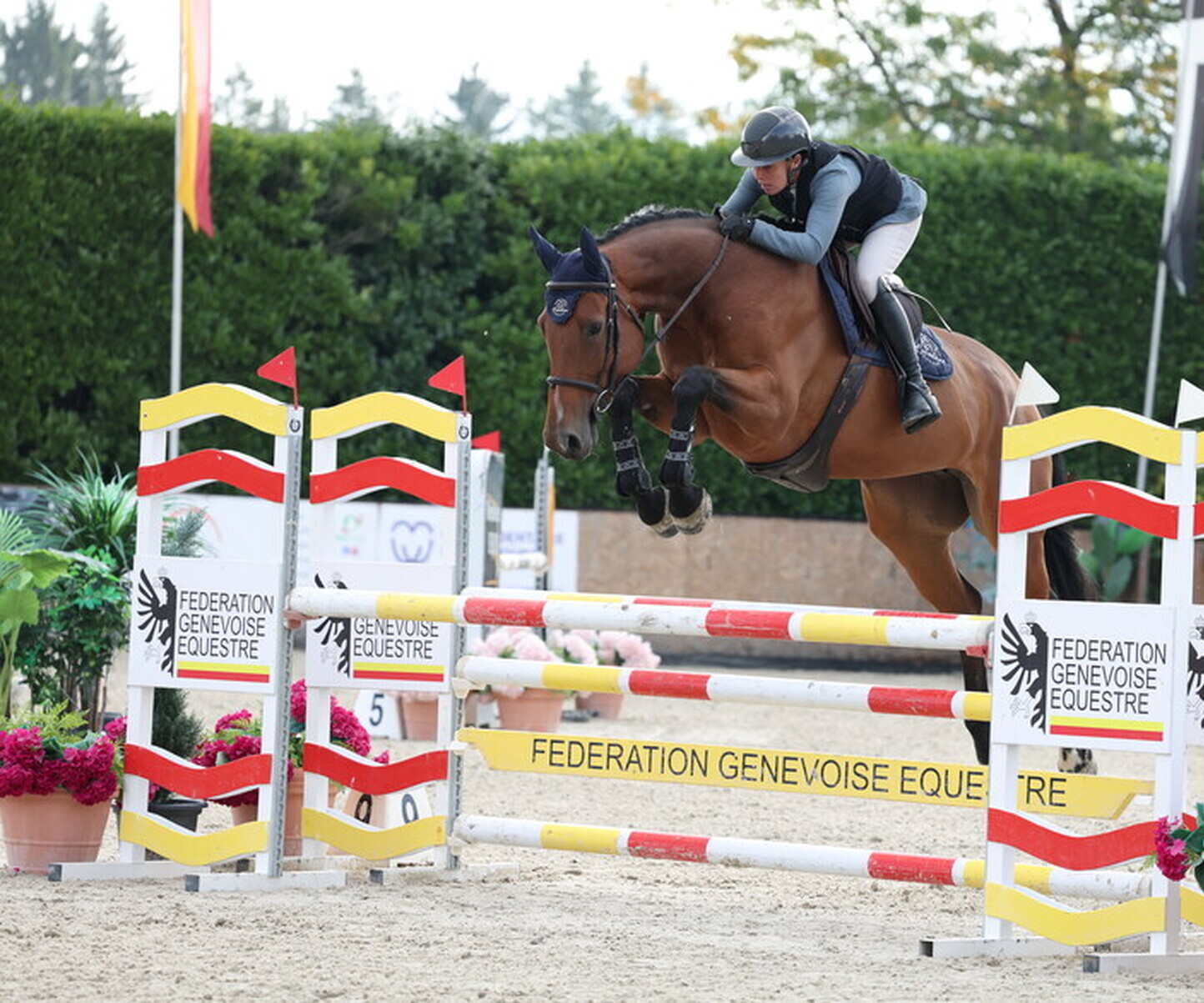 Description de l'image