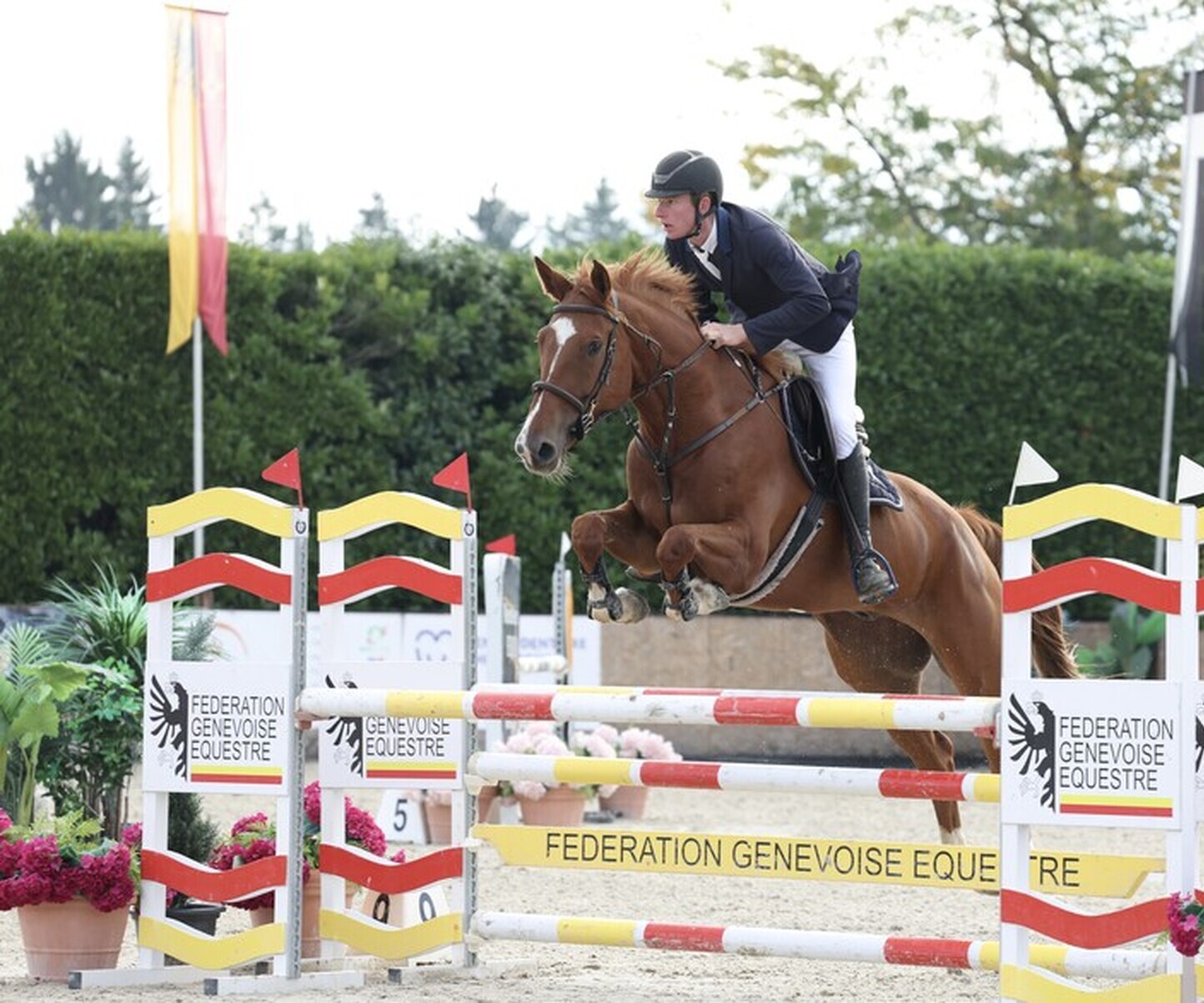 Description de l'image