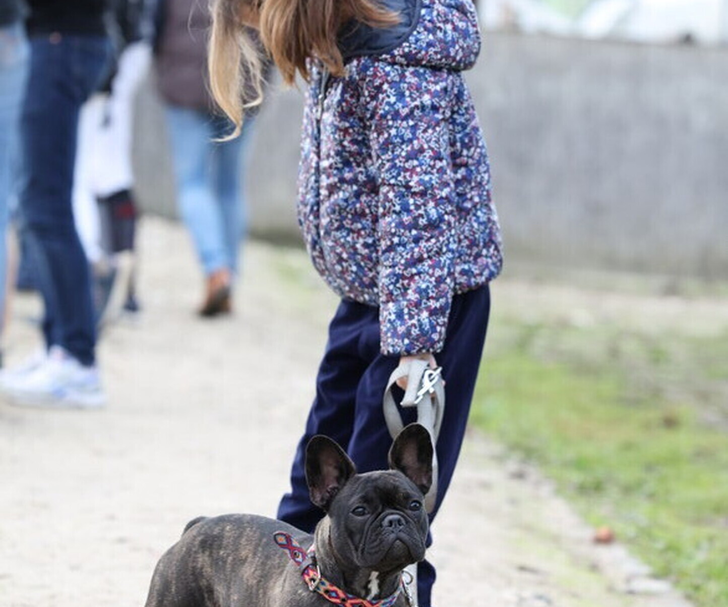 Description de l'image