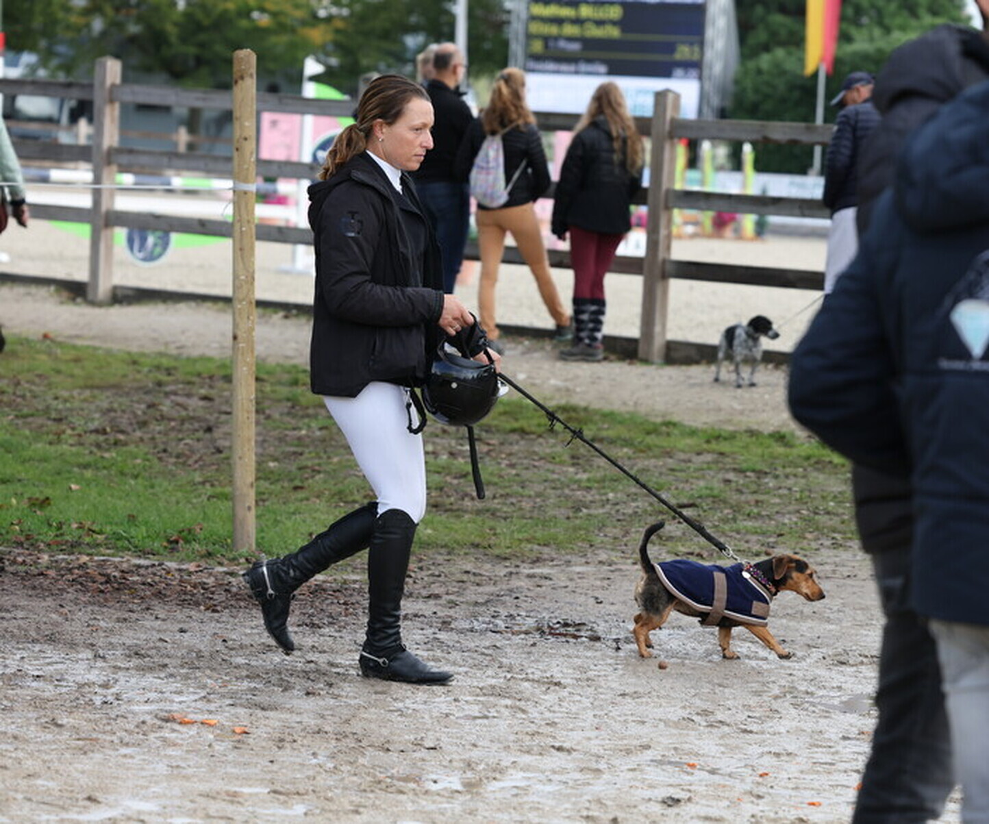 Description de l'image