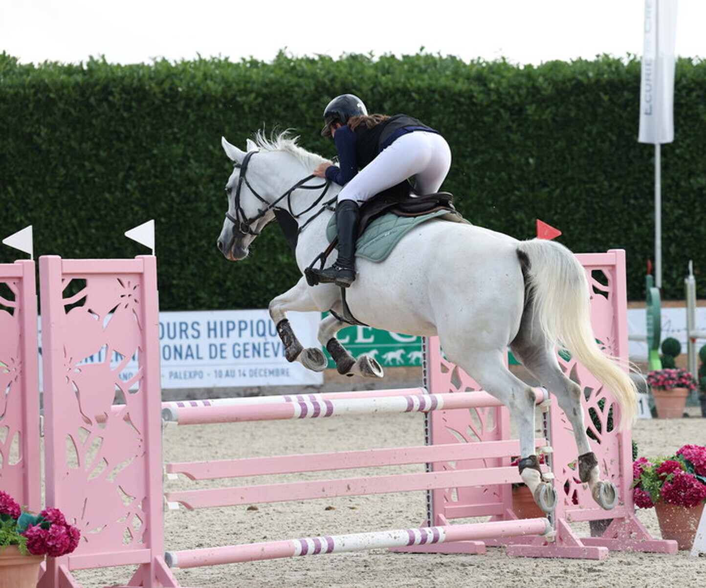 Description de l'image