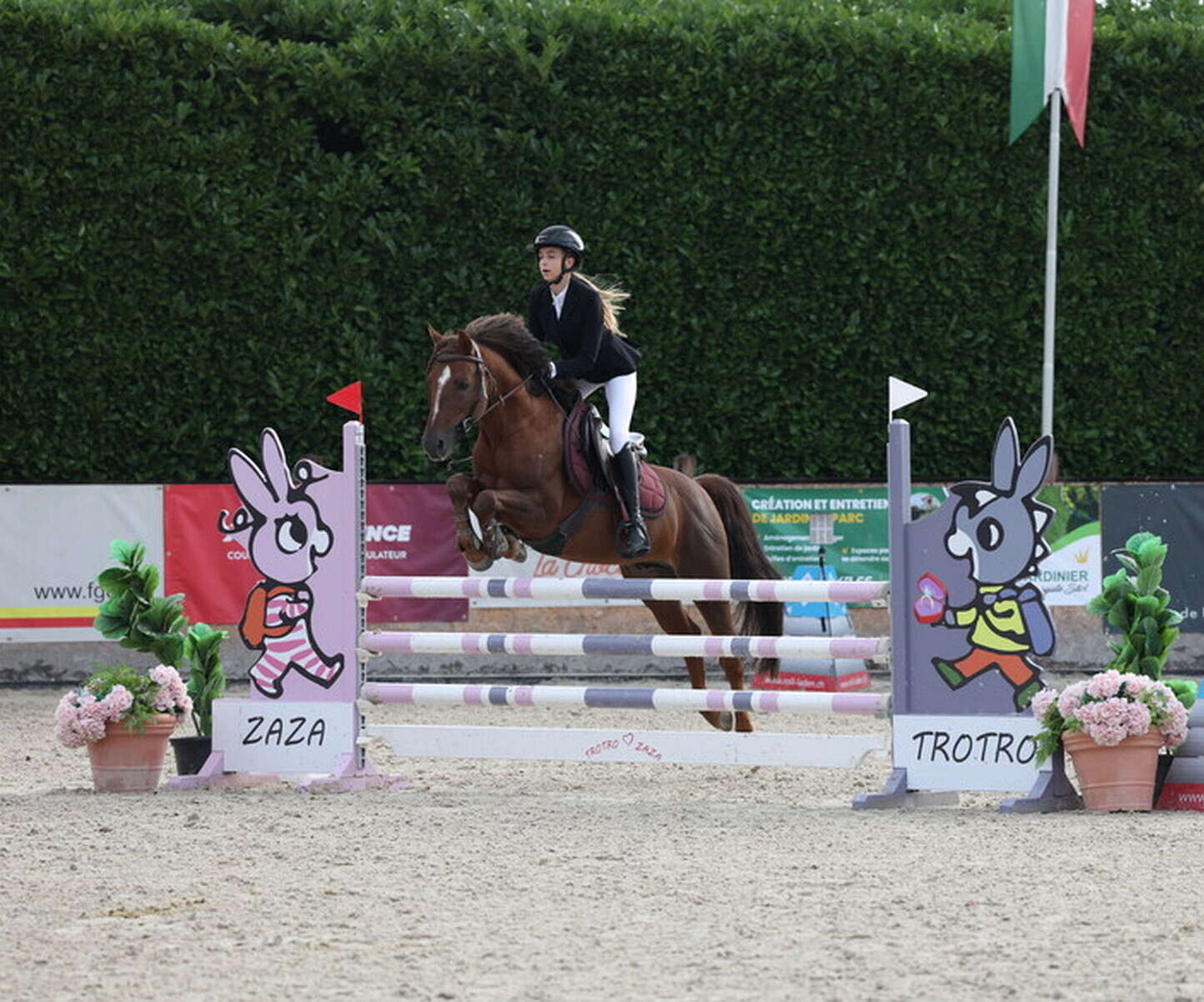 Description de l'image