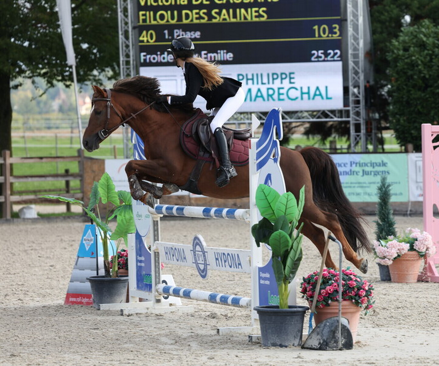 Description de l'image