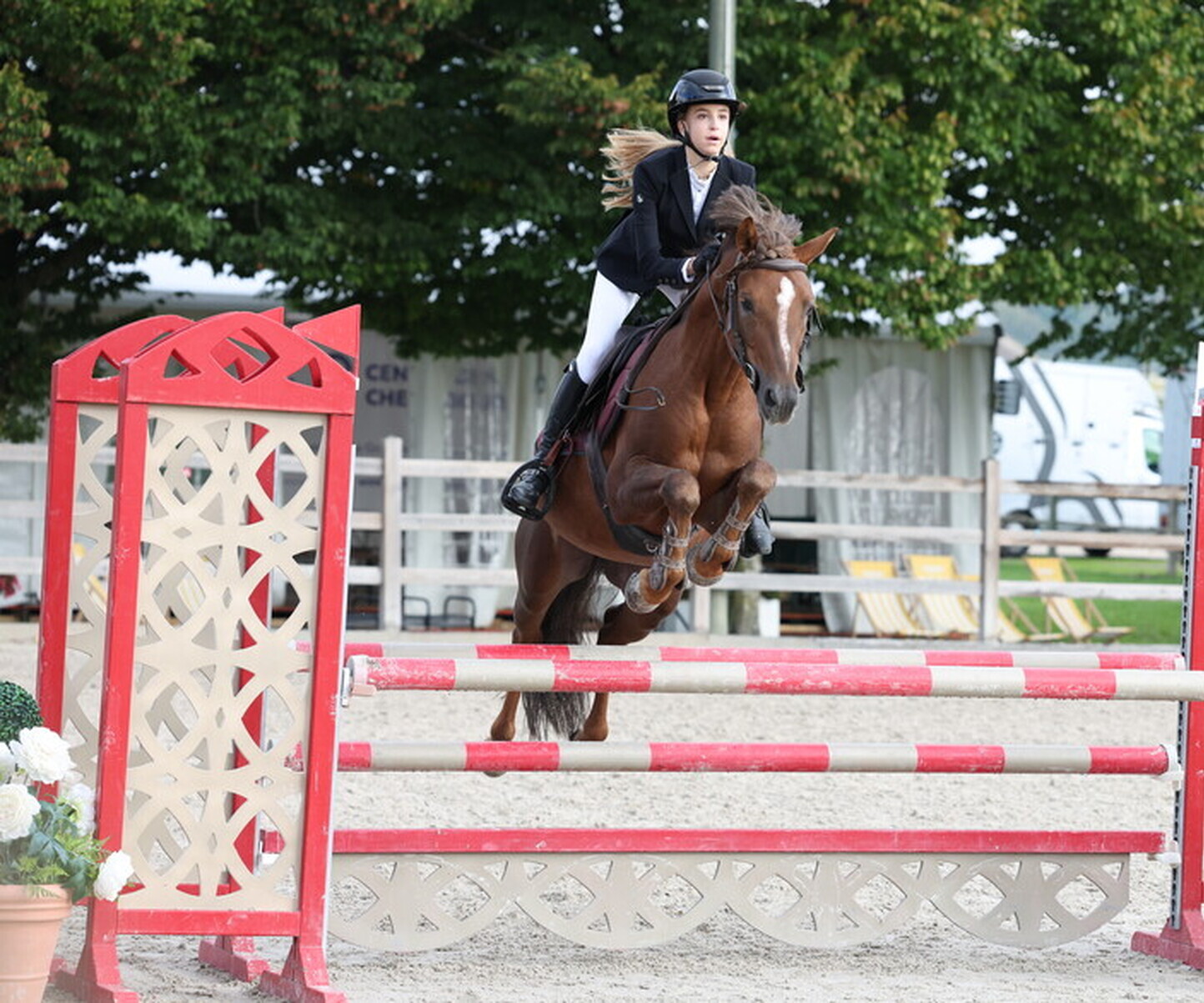 Description de l'image