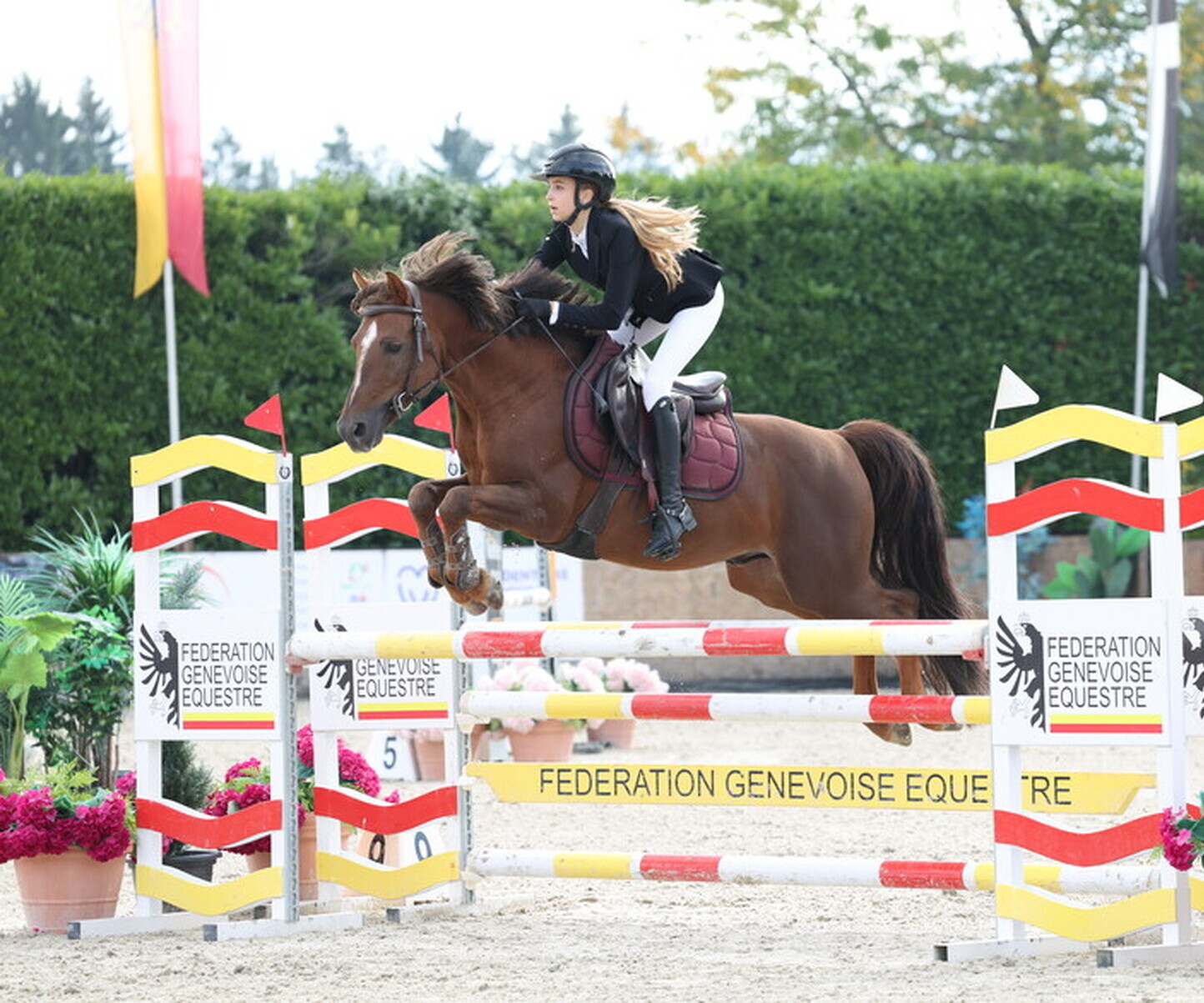 Description de l'image