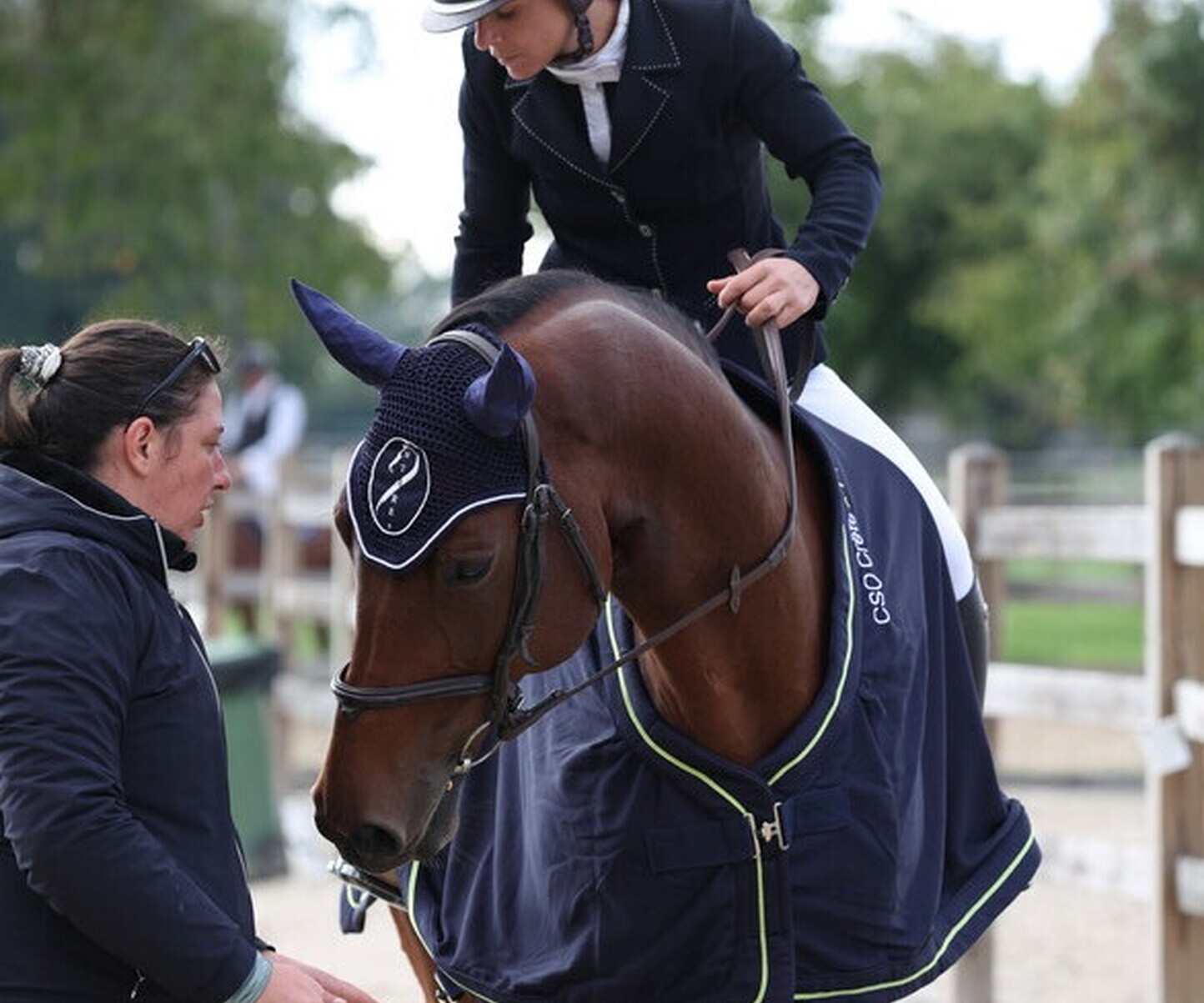 Description de l'image