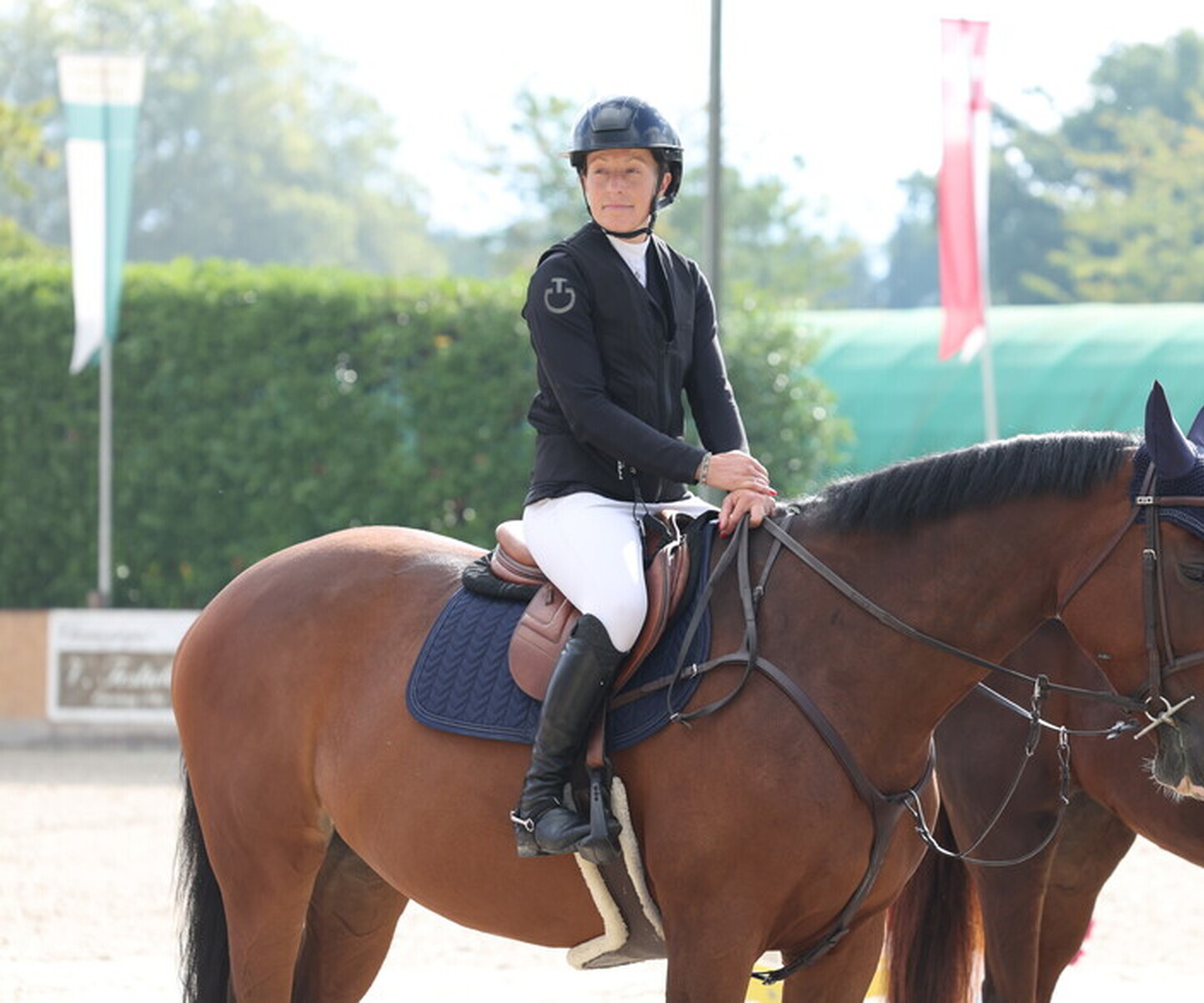 Description de l'image