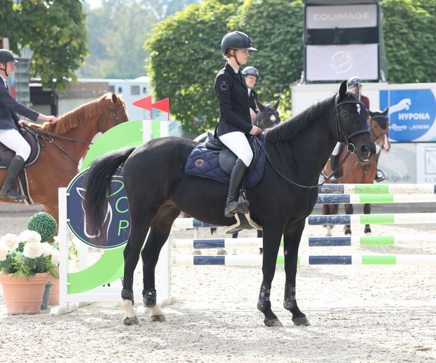 Description de l'image