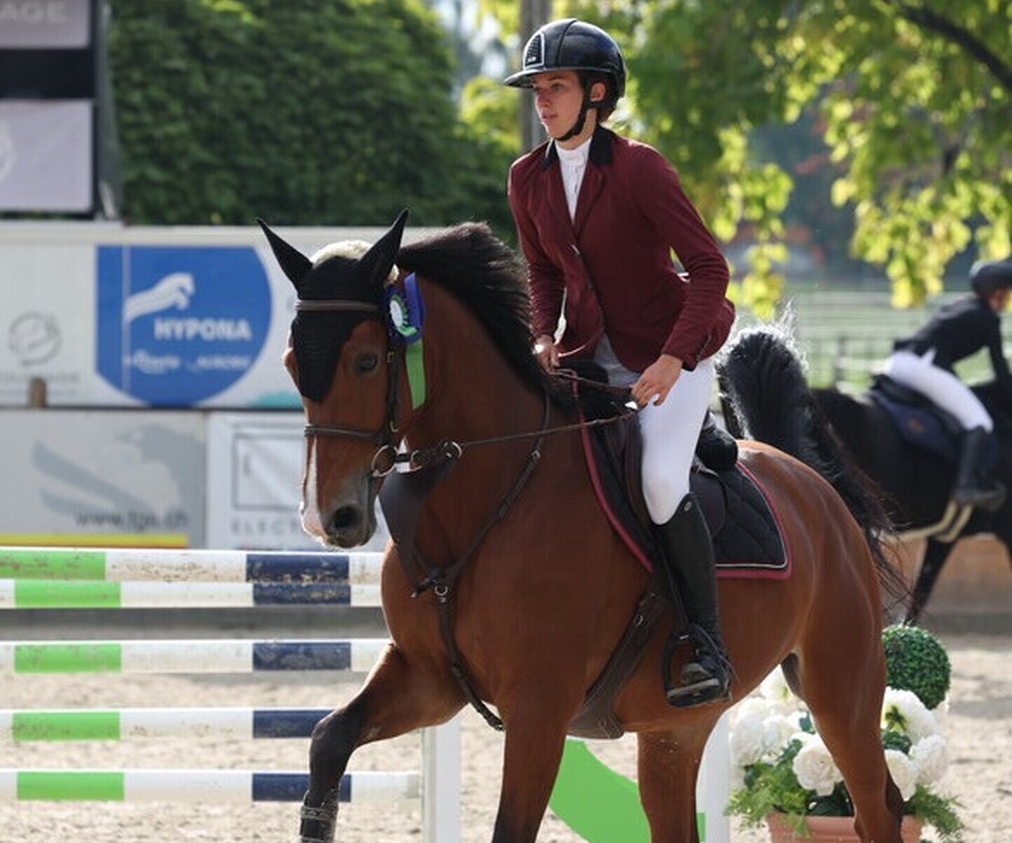 Description de l'image