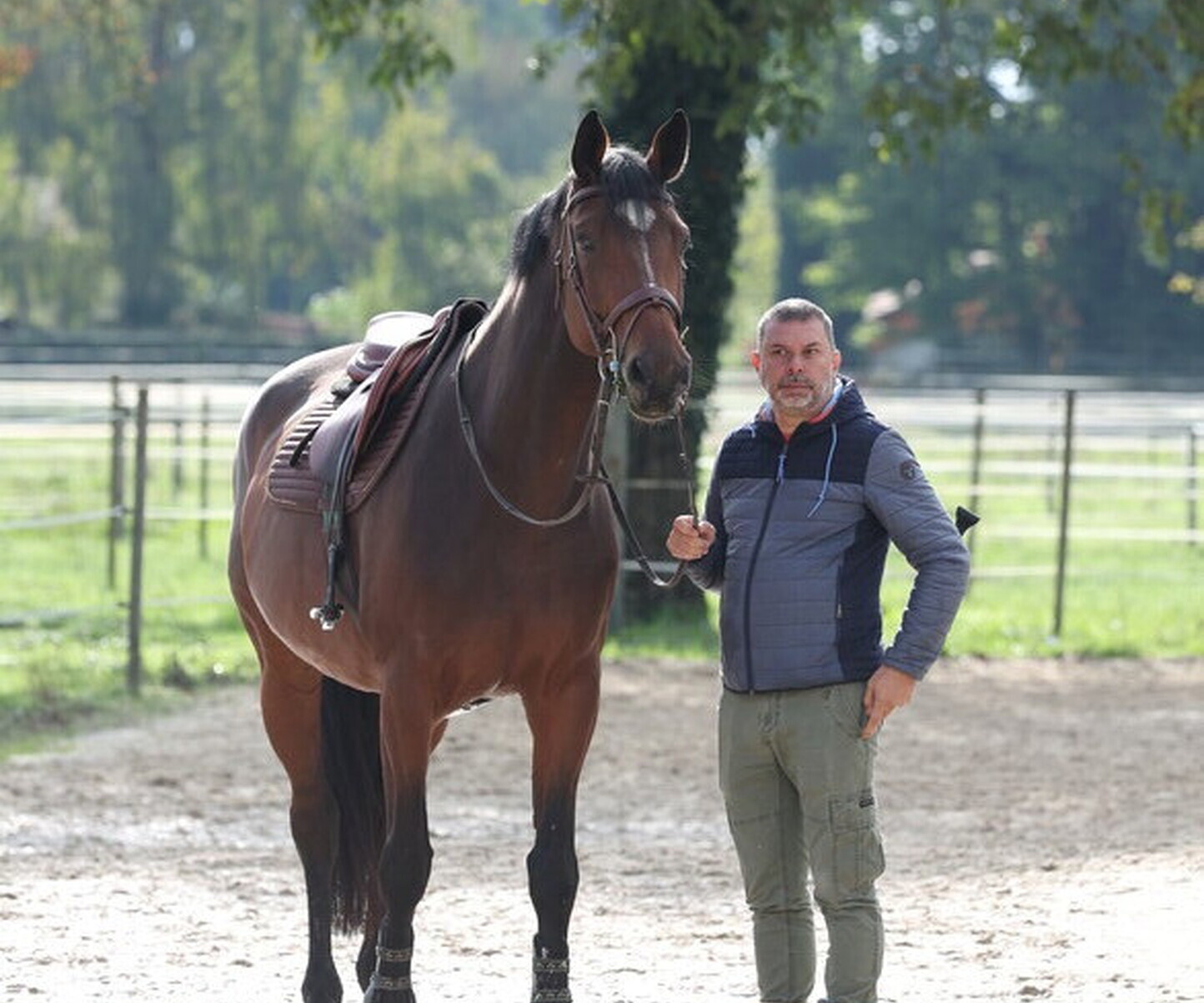 Description de l'image