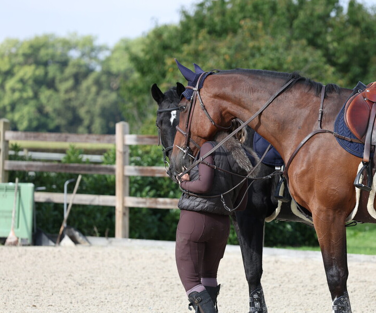 Description de l'image