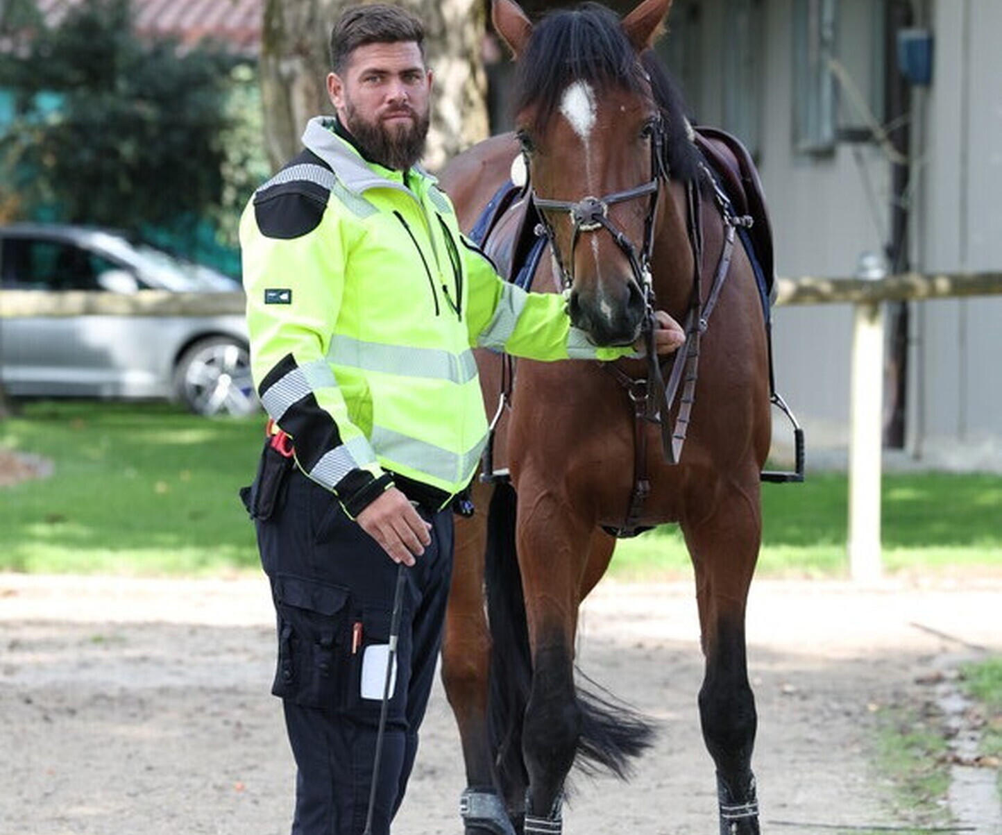 Description de l'image