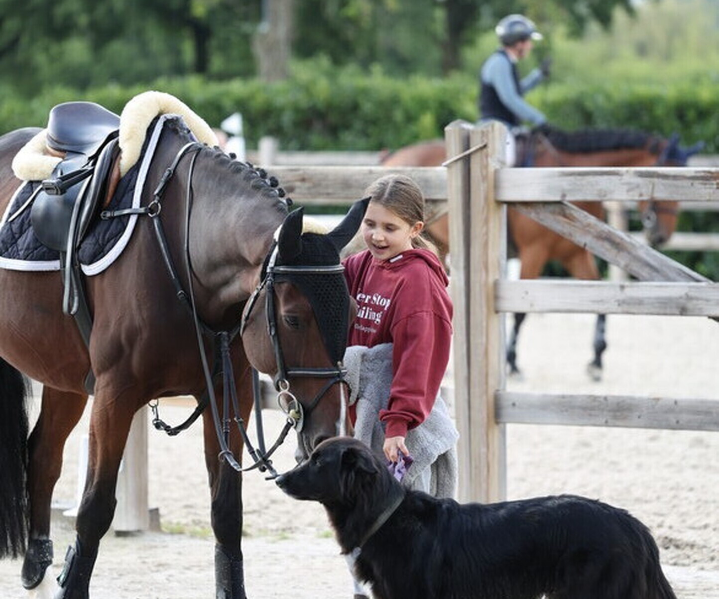 Description de l'image