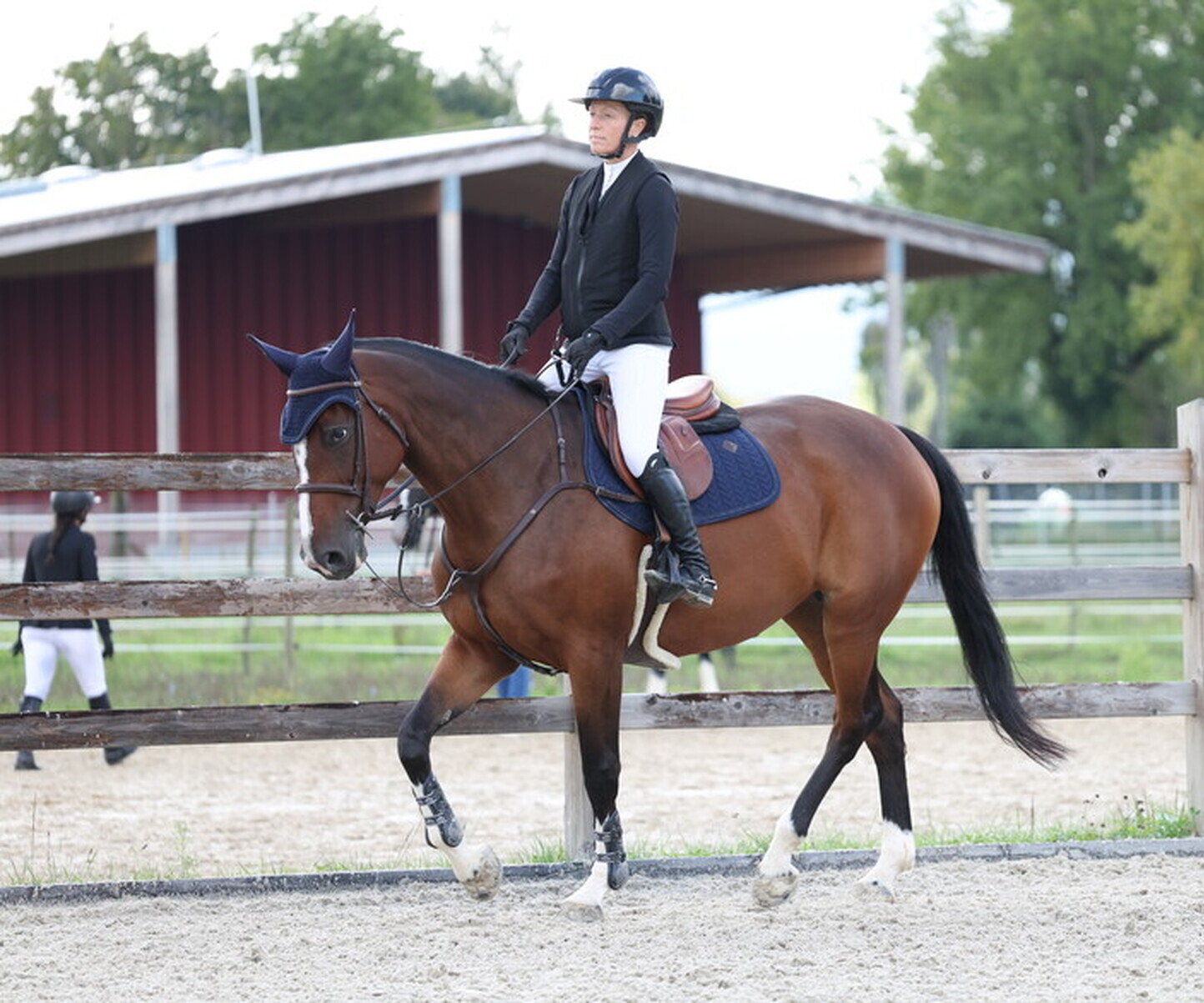 Description de l'image