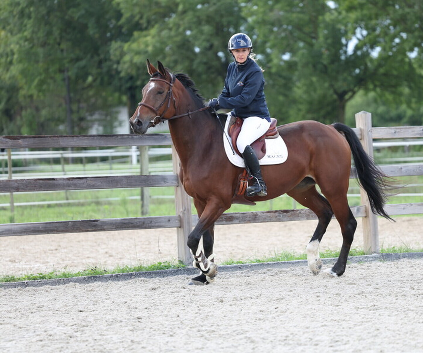 Description de l'image