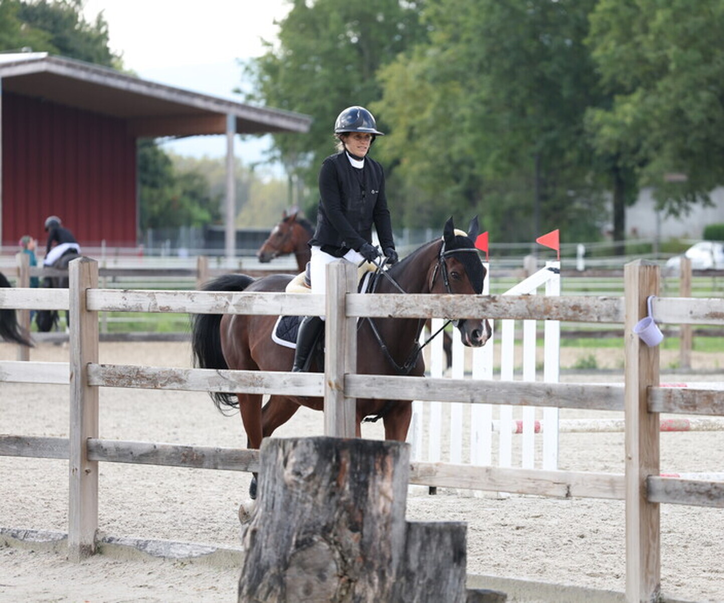 Description de l'image